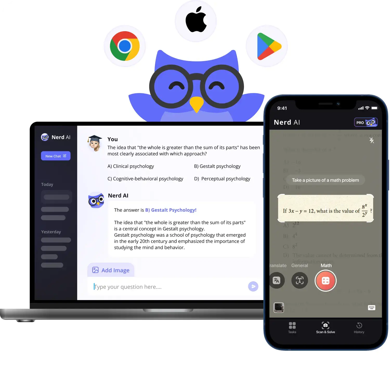 Nerd ai tutor math helper